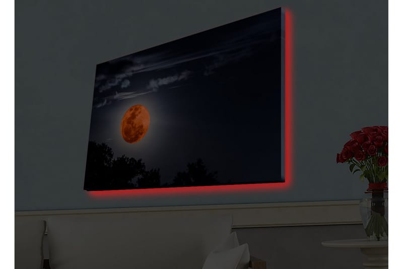 Väggdekor LED-belysning Canvas Målning - Inredning & dekor - Tavlor & konst - Canvastavla