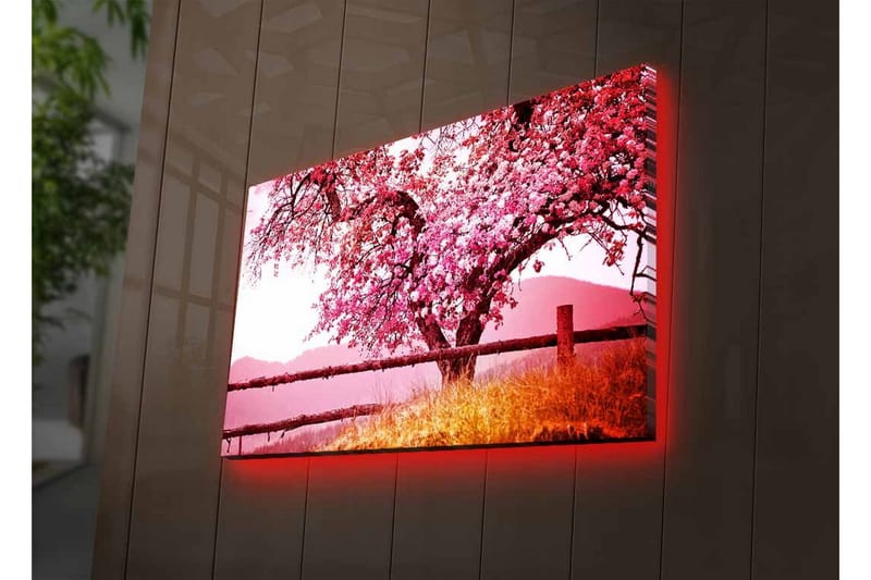 Väggdekor LED-belysning Canvas Målning - Inredning & dekor - Tavlor & konst - Canvastavla