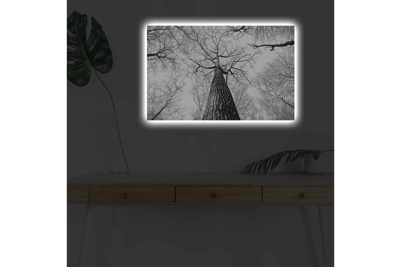Väggdekor LED-belysning Canvas Målning - Inredning & dekor - Tavlor & konst - Canvastavla