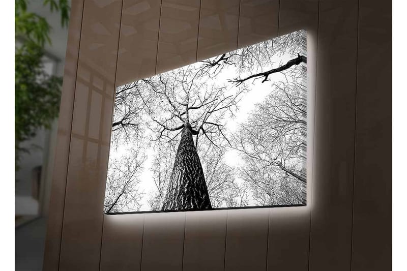 Väggdekor LED-belysning Canvas Målning - Inredning & dekor - Tavlor & konst - Canvastavla
