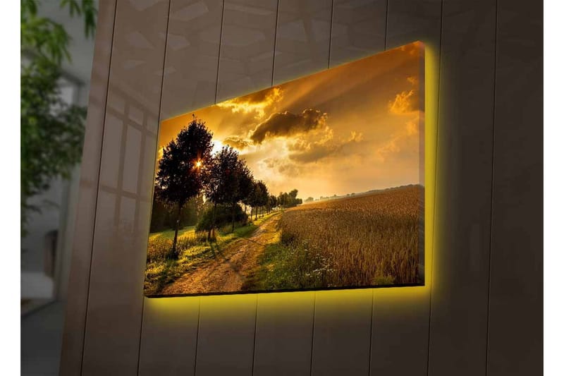 Väggdekor LED-belysning Canvas Målning - Inredning & dekor - Tavlor & konst - Canvastavla