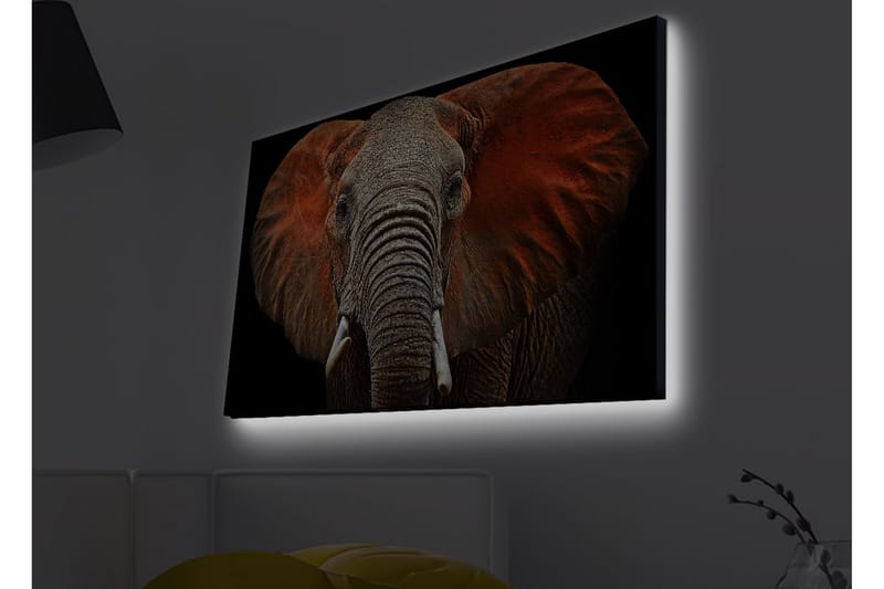 Väggdekor LED-belysning Canvas Målning - Inredning & dekor - Tavlor & konst - Canvastavla