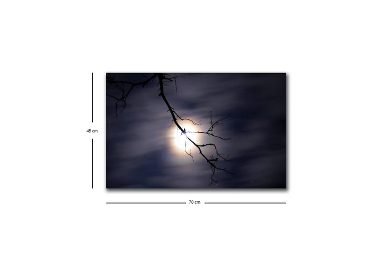 Väggdekor LED-belysning Canvas Målning - Inredning & dekor - Tavlor & konst - Canvastavla