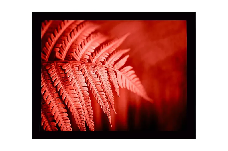 Väggdekor MDF Målning