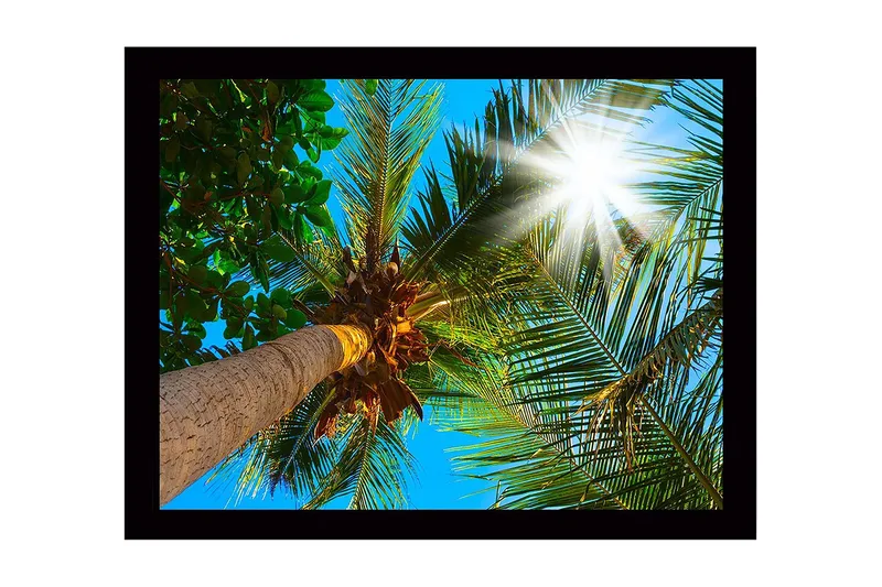 Väggdekor MDF Målning