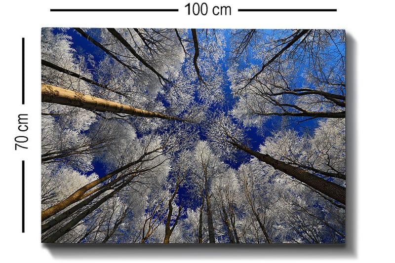 Decorative Canvas Painting 70x100 - Inredning & dekor - Tavlor & konst - Canvastavla