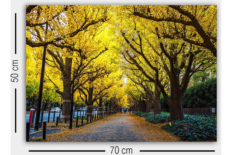 Decorative Canvas Painting 50x70 - Inredning & dekor - Tavlor & konst - Canvastavla