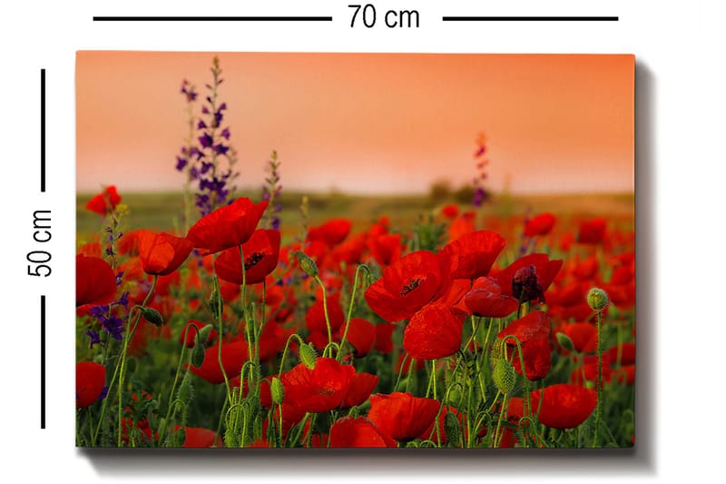 Decorative Canvas Painting 50x70 - Inredning & dekor - Tavlor & konst - Canvastavla