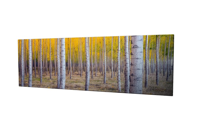 Decorative Canvas Painting 30x80