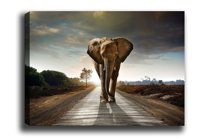 Decorative Canvas Painting 70x100