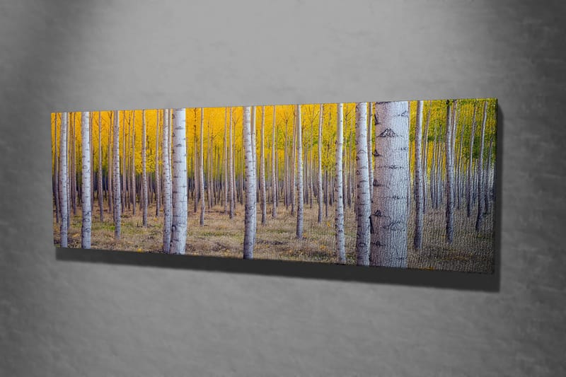 Decorative Canvas Painting 30x80 - Inredning & dekor - Tavlor & konst - Canvastavla