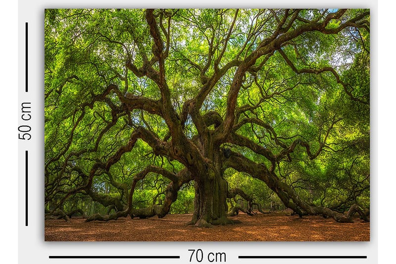 Decorative Canvas Painting 50x70 - Inredning & dekor - Tavlor & konst - Canvastavla