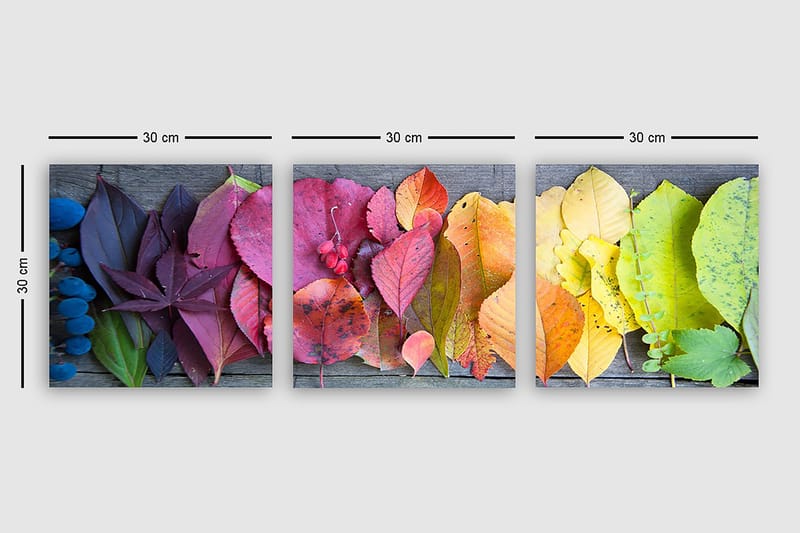 Decorative Canvas Painting (3 Pieces) 30x30 - Inredning & dekor - Tavlor & konst - Canvastavla