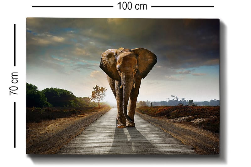 Decorative Canvas Painting 70x100 - Inredning & dekor - Tavlor & konst - Canvastavla