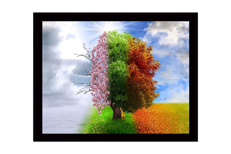 DEKORATIV INRAMAD MDF-MÅLNING 41x56 cm Flerfärgad