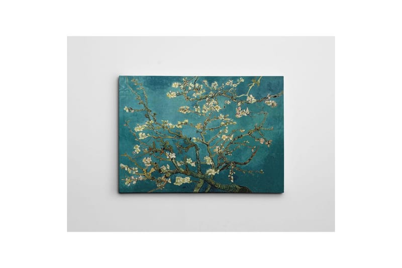 Dekorativt Dorosmålning Marro Flerfärgad - 50 x 70 cm - Inredning & dekor - Tavlor & konst - Canvastavla