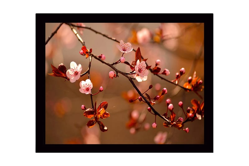 Inramad Canvastavla i trä - 41x56 cm - Blommande körsbärsgrenar i mjuka nyanser - Rosa / Brunt / Grönt - Inredning & dekor - Tavlor & konst