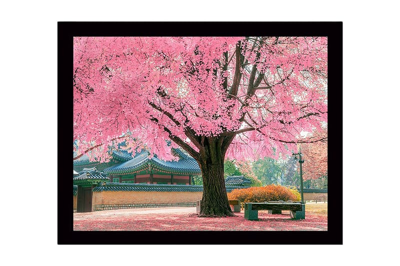 Inramad Canvastavla i trä - 41x56 cm - Blommande körsbärsträd i en vacker parkmiljö, Rosa / Grön / Brun