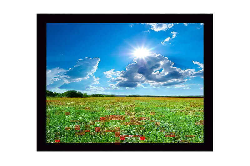 Inramad Canvastavla i trä - 41x56 cm - Blomstrande äng med röda vallmo och vita blommor under en klarblå himmel - Grön / Röd / Vit - Inredning & dekor - Tavlor & konst