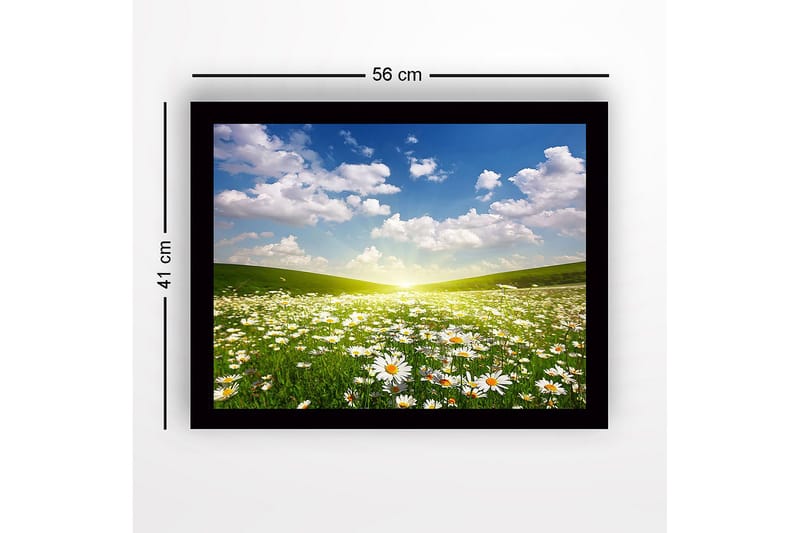 Inramad Canvastavla i trä - 41x56 cm - Blomstrande äng med prästkragar under en klar himmel - Grön / Vit / Blå - Inredning & dekor - Tavlor & konst