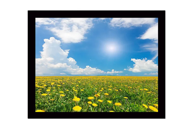 Inramad Canvastavla i trä - 41x56 cm - Blomstrande fält av maskrosor under en klarblå himmel, Gult / Grönt / Blått