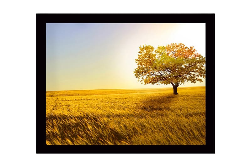 Inramad Canvastavla i trä - 41x56 cm - Ensam höstträd i ett gyllene fält - Guld / Grön / Orange - Inredning & dekor - Tavlor & konst