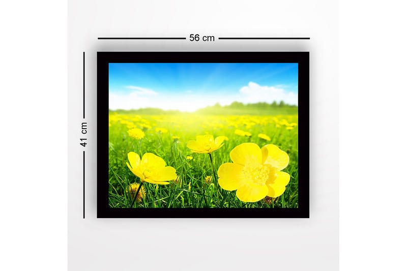 Inramad Canvastavla i trä - 41x56 cm - Fält av gula blommor i soligt landskap - Gul / Grön - Inredning & dekor - Tavlor & konst