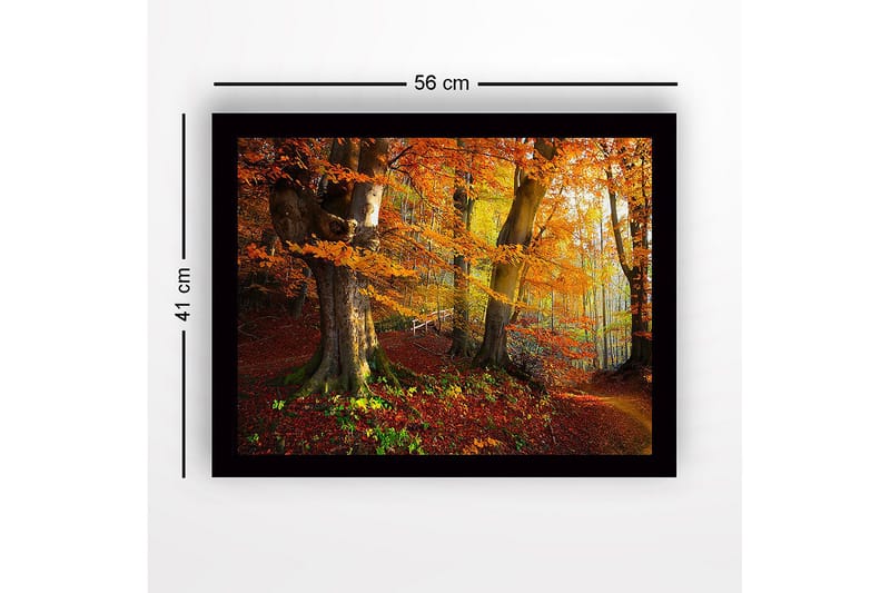 Inramad Canvastavla i trä - 41x56 cm - Färgglad höstskog med gyllene och orange lövverk - Orange / Gult / Grönt - Inredning & dekor - Tavlor & konst