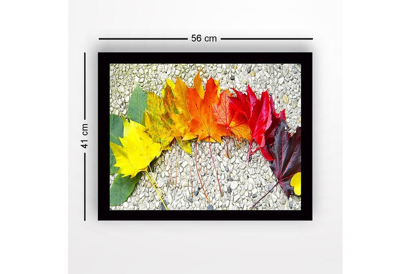 Inramad Canvastavla i trä - 41x56 cm - Färgglad rad av höstlöv i olika nyanser - Gult / Orange / Rött - Inredning & dekor - Tavlor & konst