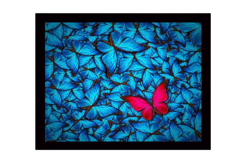 Inramad Canvastavla i trä - 41x56 cm - Färgglad samling av fjärilar med en framträdande rosa fjäril - Blå / Rosa - Inredning & dekor - Tavlor & konst