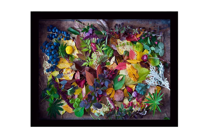 Inramad Canvastavla i trä - 41x56 cm - Färgglad samling av höstlöv och bär, Grön / Röd / Gul