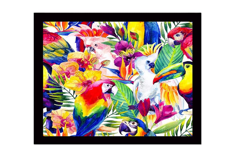 Inramad Canvastavla i trä - 41x56 cm - Färgglad samling av tropiska fåglar och blommor - Grön / Röd / Gul - Inredning & dekor - Tavlor & konst