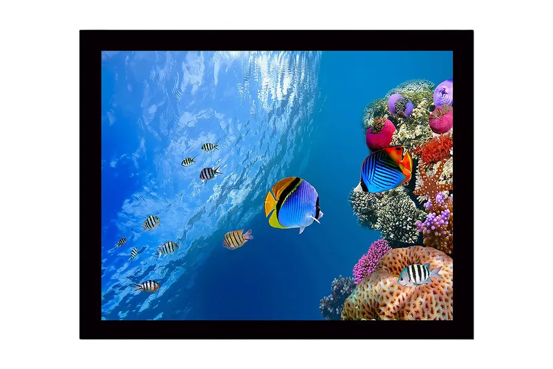 Inramad Canvastavla i trä - 41x56 cm - Färgglad undervattensscen med korallrev och simmande fiskar, Blå / Orange / Rosa