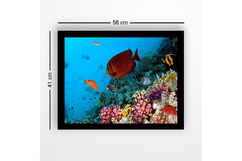 Inramad Canvastavla i trä - 41x56 cm - Färgglad undervattensscen med korallrev och tropiska fiskar - Blå / Orange / Rosa - Inredning & dekor - Tavlor & konst