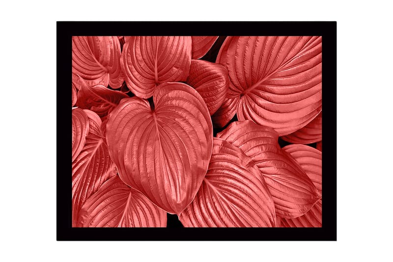 Inramad Canvastavla i trä - 41x56 cm - Färgglada blad i olika nyanser av röd - Röd / Svart - Inredning & dekor - Tavlor & konst