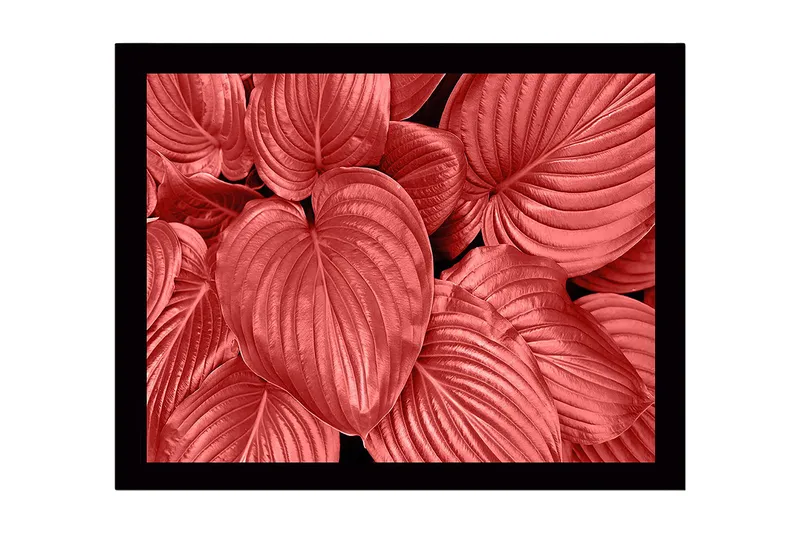 Inramad Canvastavla i trä - 41x56 cm - Färgglada blad i olika nyanser av röd - Röd / Svart - Inredning & dekor - Tavlor & konst