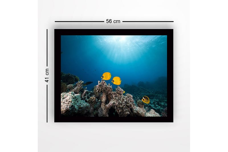 Inramad Canvastavla i trä - 41x56 cm - Färgglada fiskar simmande bland korallrev - Gul / Blå / Grå - Inredning & dekor - Tavlor & konst