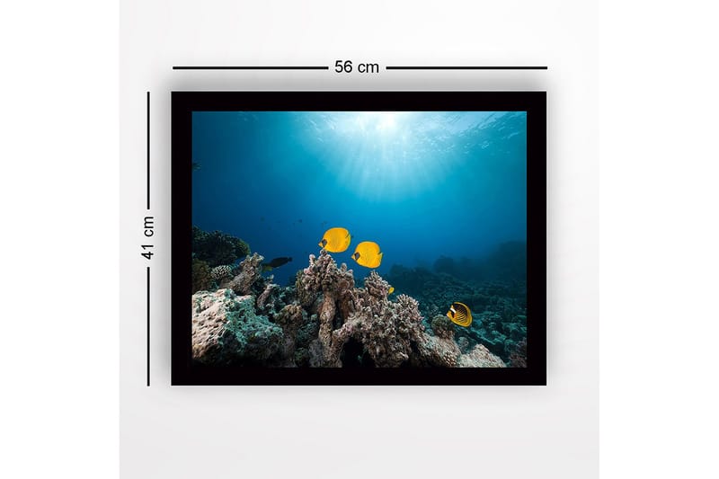 Inramad Canvastavla i trä - 41x56 cm - Färgglada fiskar simmande bland korallrev - Gul / Blå / Grå - Inredning & dekor - Tavlor & konst