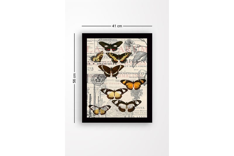 Inramad Canvastavla i trä - 41x56 cm - Färgglada fjärilar på en vintage-inspirerad bakgrund - Svart / Brun / Orange - Inredning & dekor - Tavlor & konst