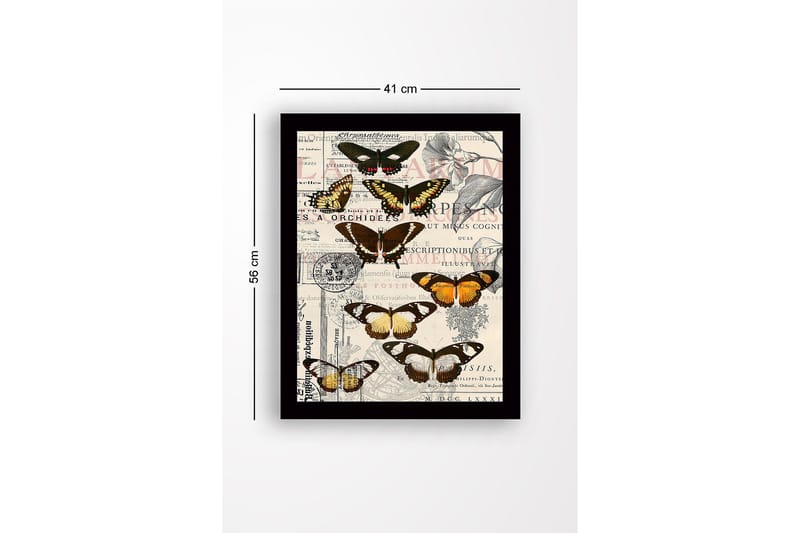 Inramad Canvastavla i trä - 41x56 cm - Färgglada fjärilar på en vintage-inspirerad bakgrund - Svart / Brun / Orange - Inredning & dekor - Tavlor & konst