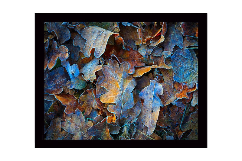 Inramad Canvastavla i trä - 41x56 cm - Färgglada höstlöv i en harmonisk komposition - Blå / Orange / Brun - Inredning & dekor - Tavlor & konst