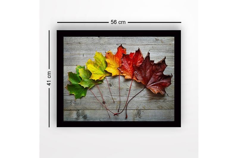 Inramad Canvastavla i trä - 41x56 cm - Färgglada höstlöv i en rad - Grön / Gul / Röd - Inredning & dekor - Tavlor & konst