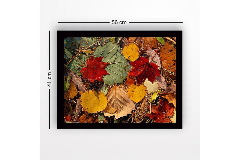 Inramad Canvastavla i trä - 41x56 cm - Färgglada höstlöv på marken - Röd / Gul / Grön - Inredning & dekor - Tavlor & konst