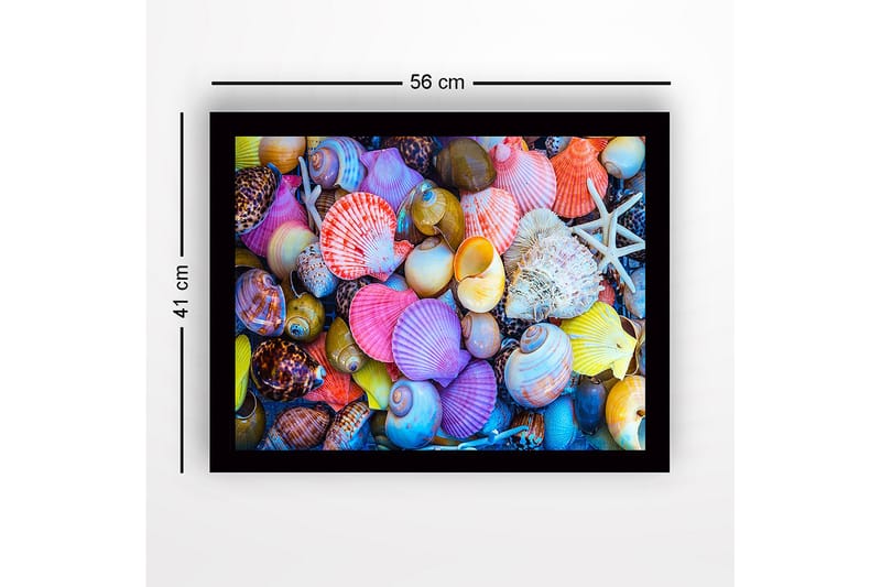 Inramad Canvastavla i trä - 41x56 cm - Färgglada snäckor i olika former och storlekar - Rosa / Gul / Lila - Inredning & dekor - Tavlor & konst