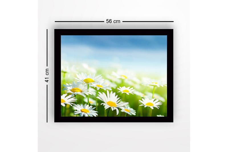 Inramad Canvastavla i trä - 41x56 cm - Färgrik äng med prästkragar i blomning - Vit / Gul / Grön - Inredning & dekor - Tavlor & konst