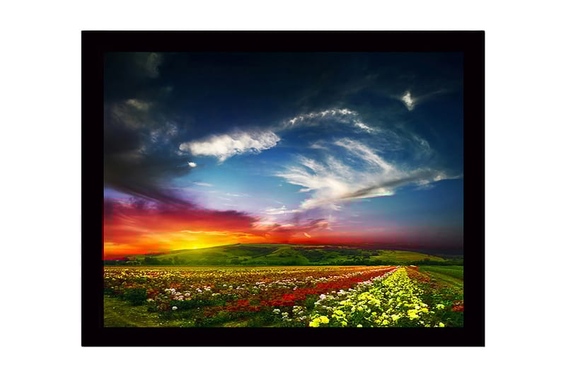 Inramad Canvastavla i trä - 41x56 cm - Färgrik blomsteräng under en dramatisk solnedgång - Röd / Gul / Grön - Inredning & dekor - Tavlor & konst
