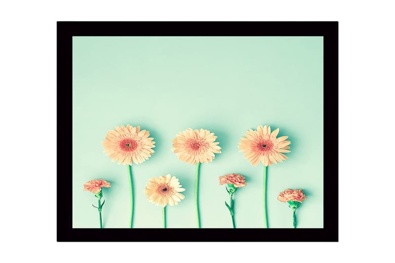 Inramad Canvastavla i trä - 41x56 cm - Färgrik rad av blommor med gerbera och nejlika, Ljusorange / Grön / Mintgrön