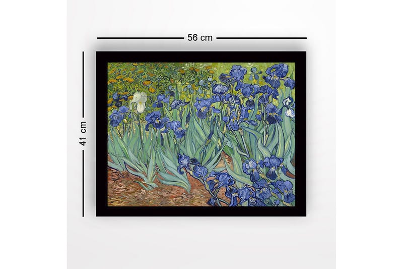 Inramad Canvastavla i trä - 41x56 cm - Färgrik samling av irisblommor - Blå / Grön / Brun - Inredning & dekor - Tavlor & konst
