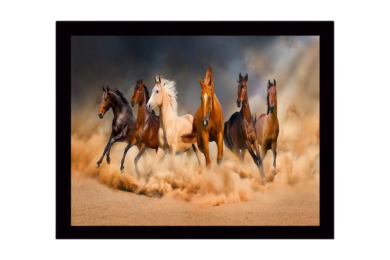 Inramad Canvastavla i trä - 41x56 cm - Fem hästar i rörelse genom sandstorm - Brun / Beige / Svart - Inredning & dekor - Tavlor & konst