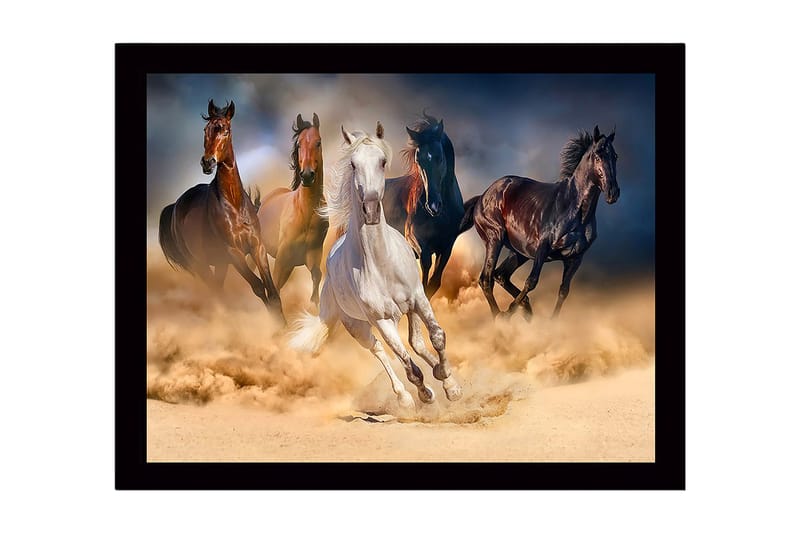 Inramad Canvastavla i trä - 41x56 cm - Fem hästar som galopperar genom sandstorm - Vit / Brun / Svart - Inredning & dekor - Tavlor & konst